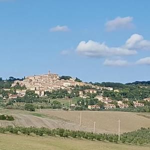 Lagone 2019 Aia Vecchia Toscana
